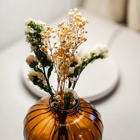 Storia Bolognese, Residenza Alte Mura Apartment Bologna