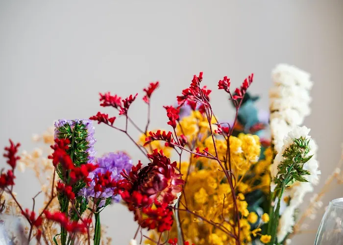 Storia Bolognese, Residenza Alte Mura شقة