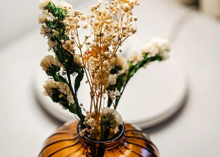 Storia Bolognese, Residenza Alte Mura Appartement Bologna