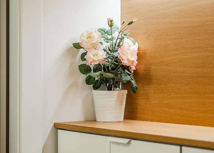 Appartement Storia Bolognese, Residenza Alte Mura Bologna