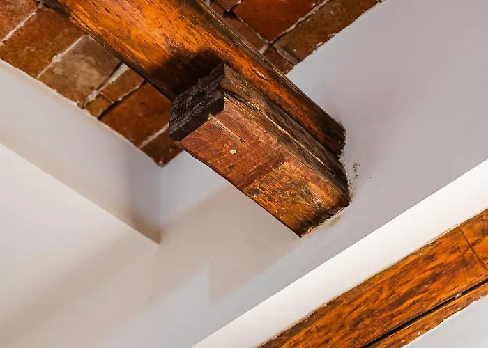 Storia Bolognese, Residenza Alte Mura * بولونيا