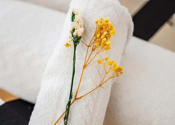 Storia Bolognese, Residenza Alte Mura