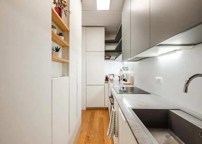 Storia Bolognese, Residenza Alte Mura Bologna