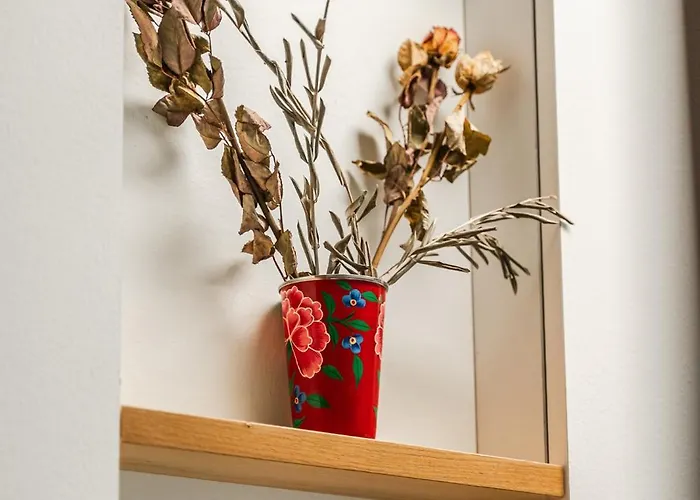 Storia Bolognese, Residenza Alte Mura Bologna