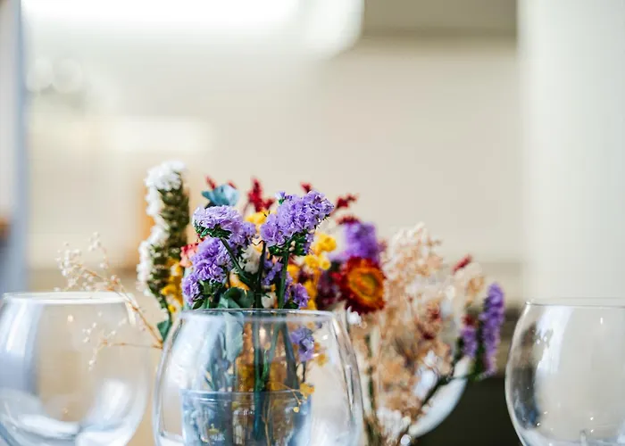 Storia Bolognese, Residenza Alte Mura Appartement