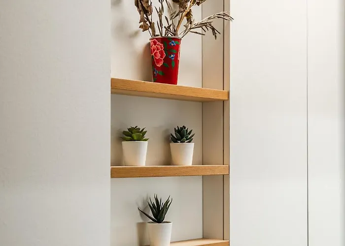 Storia Bolognese, Residenza Alte Mura Appartement