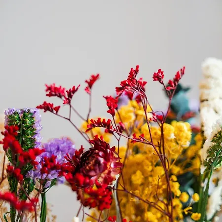 Storia Bolognese, Residenza Alte Mura 公寓