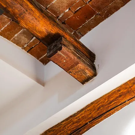 Storia Bolognese, Residenza Alte Mura * 博洛尼亚