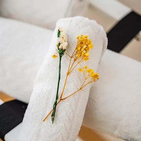 Storia Bolognese, Residenza Alte Mura