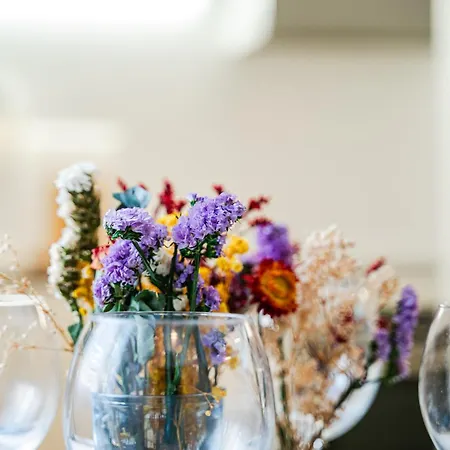 Storia Bolognese, Residenza Alte Mura 公寓